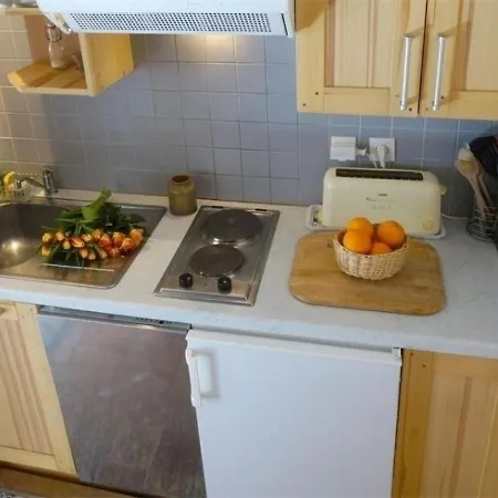 Duplex A Luchon, 2 Chambres, 4 Pers, Proche Thermes Et Telepherique, Animaux Admis - Fr-1-313-190 * Bagneres-de-Luchon