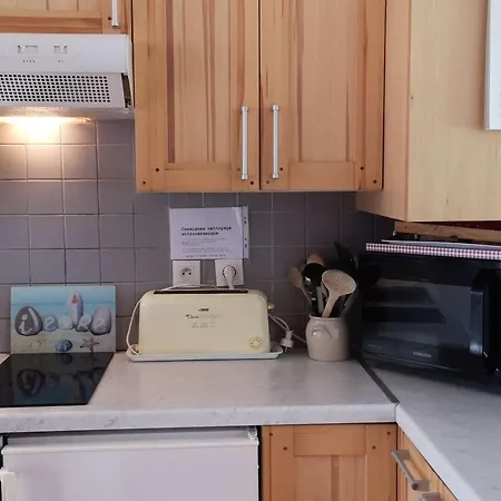 Duplex A Luchon, 2 Chambres, 4 Pers, Proche Thermes Et Telepherique, Animaux Admis - Fr-1-313-190